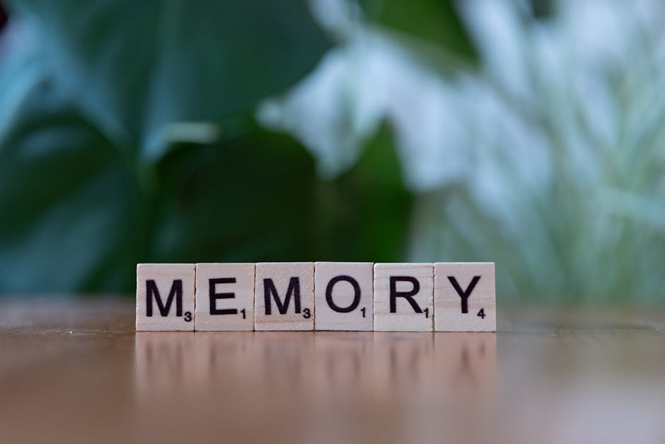 The Dynamic Past: How Your Brain Rewrites Memories
