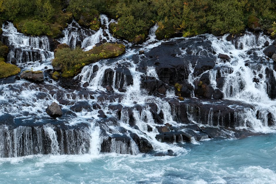 The Desert Drifters: Unraveling How Rocks Move Themselves