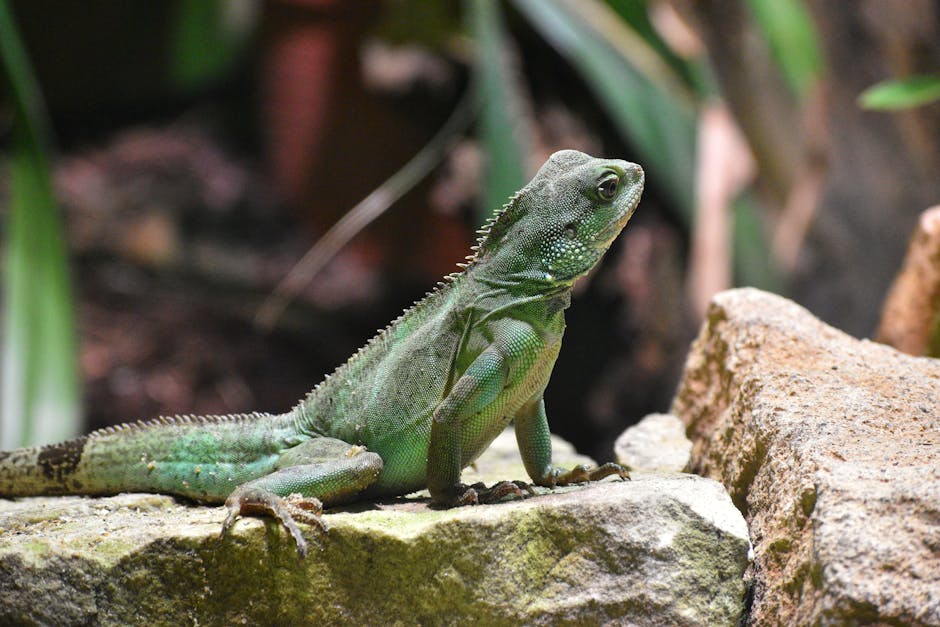 Darkness and Life: The Deep-Sea Ecosystems Thriving Without Sunlight